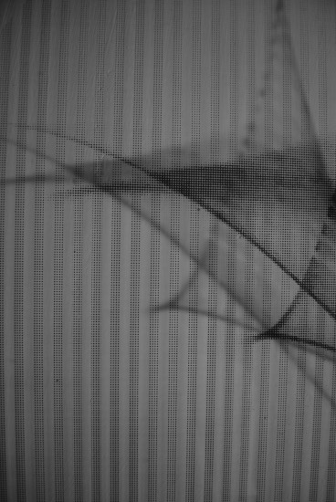 Reflection [ 5 ] - zoom